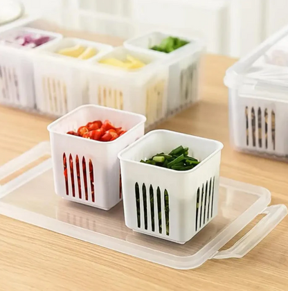 6 Portion Multipurpose Storage Box